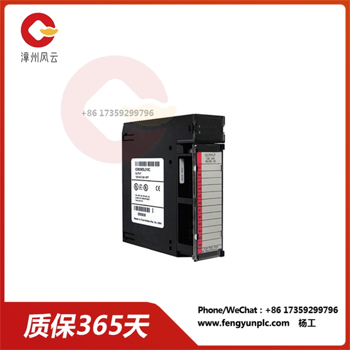 IC693MDL310